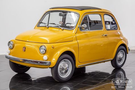 1973 Fiat 500L Coupe at the St. Louis Car Museum Mouse Photos, Fiat 500l, Fiat Cars, Fiat 600, Little Mouse, Car Museum, Car Maintenance, Fiat 500, Repair Manuals