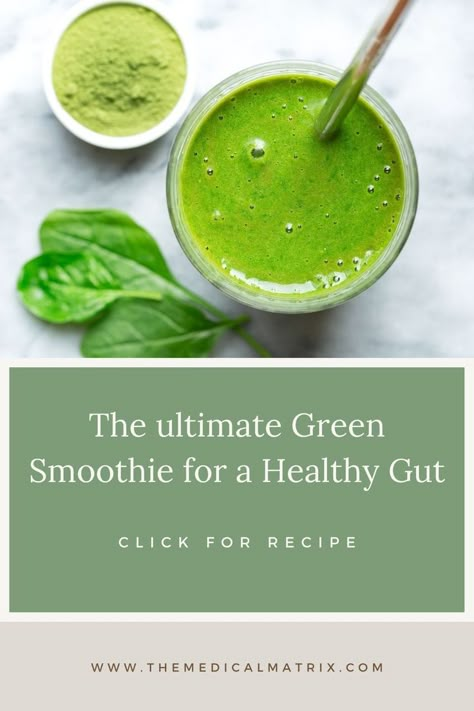 Check out our favorite green smoothie recipes for a healthy gut! #guthealth #guthealing #naturalremedies #greensmoothie #quicksmoothie #greensmoothierecipie #healthy #antiinflammatory Smoothie For Gut Health, Digestion Smoothie, Green Smoothie Recipes Healthy, Healing Smoothie, Healthy Gut Recipes, Green Juice Smoothie, Veggie Smoothies, Best Green Smoothie, Gut Healing Recipes