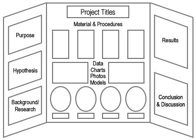 science fair project - Google Search Tri Fold Science Project Display, School Fair Ideas, Chemistry Science Fair Projects, Science Fair Display Board, Tri Fold Poster Board, 5th Grade Science Projects, Kids Science Fair Projects, Tri Fold Poster, Science Fair Board