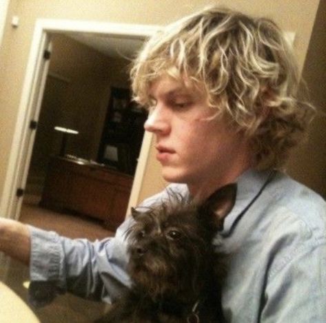 Evan Peters Icons, Harry Potter Stranger Things, The Black Phone, Tate Langdon, Actors Male, James Franco, Black Phone, Evan Peters, The Perfect Guy