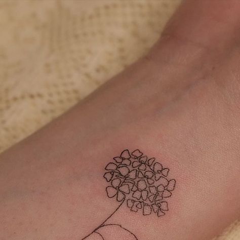 Small Hydrangea Tattoo Simple, Hydrangea Outline Tattoo, Hydrangea Flower Tattoo, Hydrangea Line Tattoo, Hydrangeas Tattoo, Hydrangea Heart Tattoo, Minimalist Hydrangea Tattoo, Hydrangea Tattoo, Hydrangeas Art