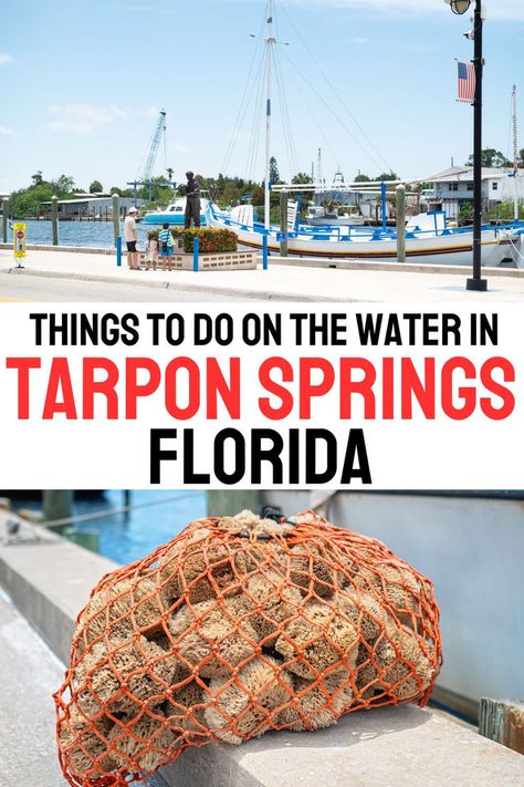 Are There Beaches in Tarpon Springs, Florida blog post Tarpon Springs Sponge Docks, Tarpon Springs Florida, Florida Travel Destinations, Shell Island, Florida Travel Guide, Springs Florida, Spring City, Tarpon Springs, Charter Boat