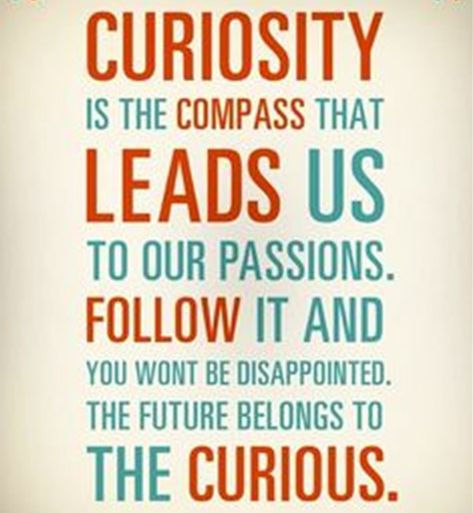 Curiosity is the compass that leads us to our passions. Follow it and you won't be disappointed. The future belongs to the curious. // 25 Engaging Quotes About Curiosity of All Time - EnkiVillage Critical Thinking Quotes, Welfare Quotes, Curiosity Quotes, Engagement Quotes, Believe In Yourself Quotes, The Compass, Thinking Quotes, Uplifting Quotes, Art And Craft