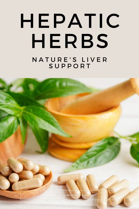 Hepatic herbs are a category of plants known for their beneficial effects on the liver. These herbs are used in traditional medicine to support liver function, detoxify the body, and improve overall health. Learn more about the benefits of taking hepatic herbs! Detoxifying Liver, Herbs And Their Uses, Liver Issues, Candida Cleanse, Healing Tea, Vegan Supplements, Liver Function, Liver Detoxification, Liver Support