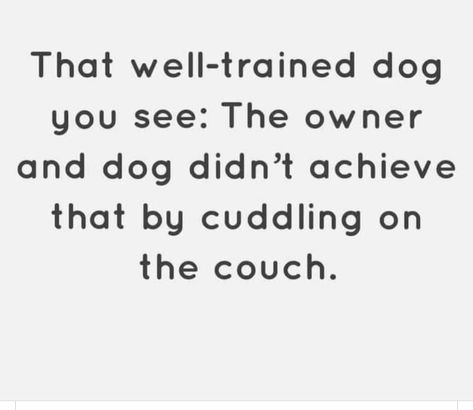 Service Dog Quotes, Dog Training Quotes, Dog Infographic, Training Quotes, Gordon Setter, Training Room, Easiest Dogs To Train, Dog School, Cuddling On The Couch