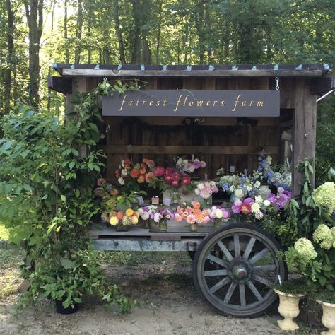 Farmers Market Stand, Flowers Farm, Cut Flower Farm, Flower Truck, Garden Stand, Flower Business, Flower Cart, Flower Farmer, Flower Bar