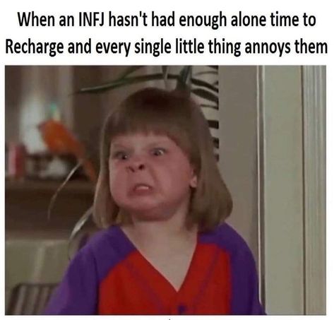 Infj Personalidade, Infj Humor, Intj And Infj, Infj Type, Infj Personality Type, Behind Blue Eyes, Monday Humor, Introvert Humor, Single Humor