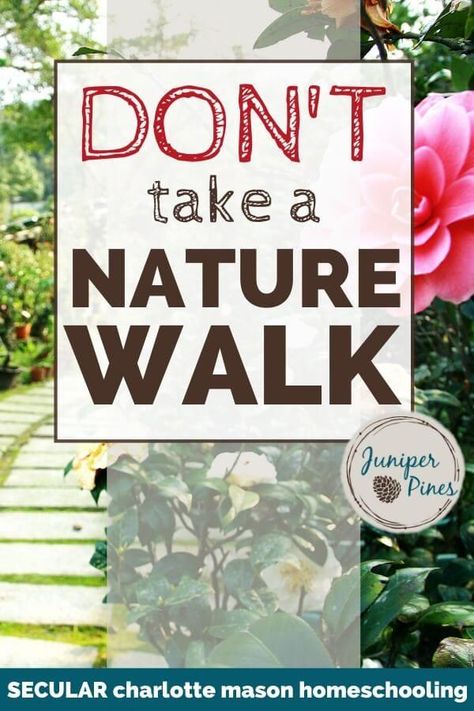 Nature Walk Preschool, Pagan Homeschooling, Nature Walk Activities, Nature Lessons, Homeschool Nature, Secular Homeschool, Homeschool Nature Study, Walk Idea, Forest School Activities