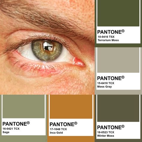 Hazel Eyes Color Palette, Sage Green Eyes, Hazel Green Eyes, Colour Season, Hazel Green, Eyes Color, Eye Lens, Types Of Eyes, Soft Autumn