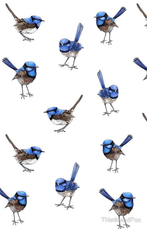 Blue Wrens, Scattered on White Blue Fairy Wren Tattoo, Blue Wren Tattoo Black And White, Blue Bird Art Painting, Blue Fairy Wren, Blue Wren Mosaic, Blue Wren Drawing, Blue Wren Painting, Fairy Wren Tattoo, Blue Wren Tattoo