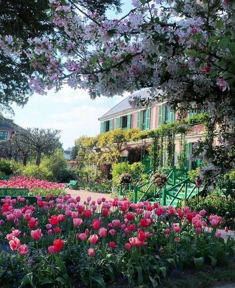 Giverny Monet, Monet Garden Giverny, Giverny France, Monet Water Lilies, Gorgeous Houses, European Antiques, Gorgeous Gardens, Perfect Pink, Water Lilies