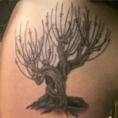 Whomping Willow tattoo  Harry Potter tattoo  Tree tattoo Harry Potter Tree Tattoo, Willow Tree Tattoo Thigh, Whomping Willow Tattoo, Willow Tree Spine Tattoo, Harry Potter Back Tattoo Women, Weeping Willow Back Tattoo, Harry Tattoos, Willow Tree Tattoos, Weasley Family