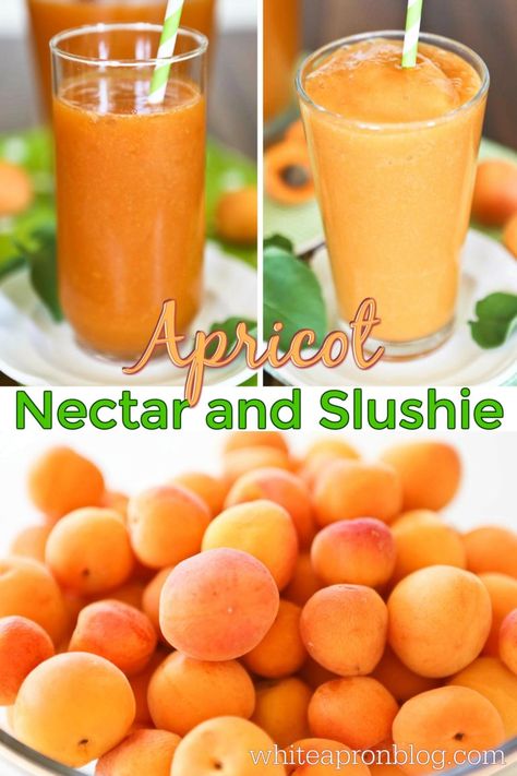 Apricot Benefits, Apricot Nectar, Summer Beverages, Blender Drinks, Apricot Smoothie, Slush Recipes, Frozen Drink Recipes, Apricot Recipes, Apricot Tree