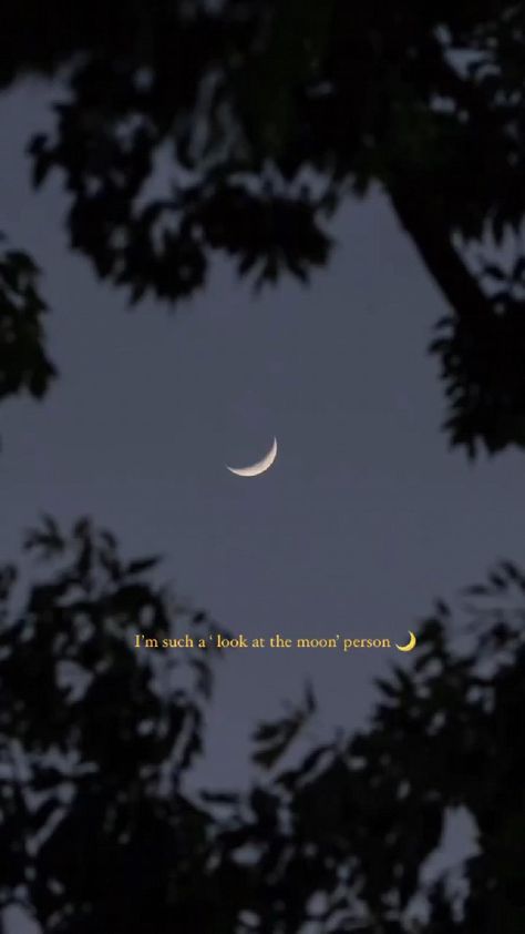 Moon Status, Sunset Song, Sunset Quotes Instagram, Nature Story, Moon Song, Sky Photography Nature, Best Romantic Song Lyrics, Look At The Moon, Feeling Pictures