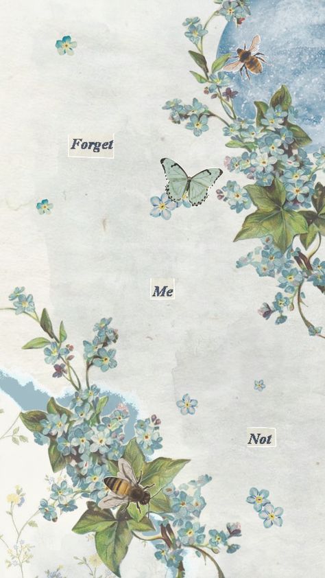 Blue Flowers Wallpaper Aesthetic, Baby Blue Flowers Wallpaper, Flower Lockscreen Aesthetic, Forget Me Not Flower Wallpaper, Forget Me Not Wallpaper Iphone, Forget Me Not Flowers Aesthetic, Forget Me Nots Aesthetic, Forget Me Not Aesthetic Wallpaper, Forget Me Not Flowers Wallpaper