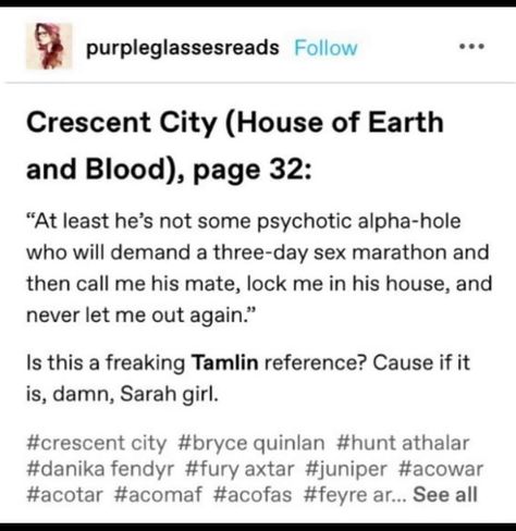 Crescent City Headcannons, Crescent City Theories, House Of Earth And Blood, Sjm Books, Daily Journal Prompts, A Court Of Wings And Ruin, Sarah J Maas Books, Book Jokes, Crescent City