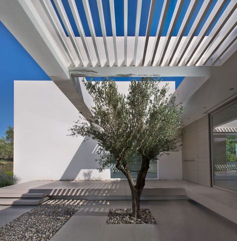 House in Zakynthos by Katerina Valsamaki Architects (5) Stone Park, Desert House, Pergola Attached To House, Backyard Pergola, Covered Pergola, Patio Roof, Pergola Plans, Pergola Kits, Pergola Patio