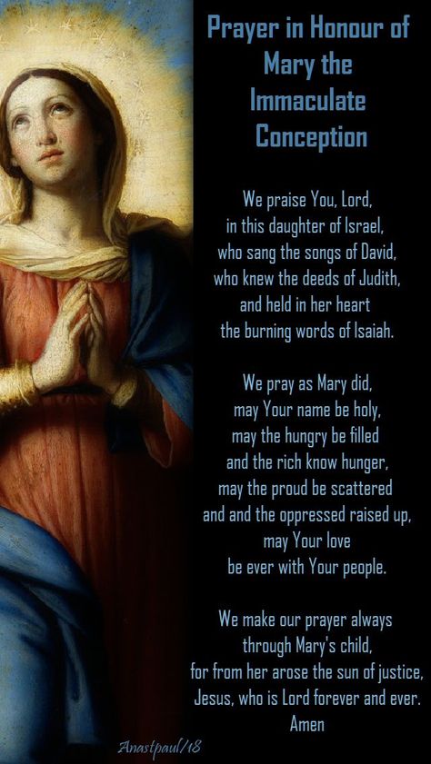 Immaculate Conception Feast Of The, Feast Of Immaculate Conception, The Immaculate Conception, Immaculate Conception Of Mary, Ave Maria Prayer, Solemnity Of The Assumption Of The Blessed Virgin Mary, Feast Of The Immaculate Conception Prayer, Mary Immaculate, Divine Mercy Chaplet