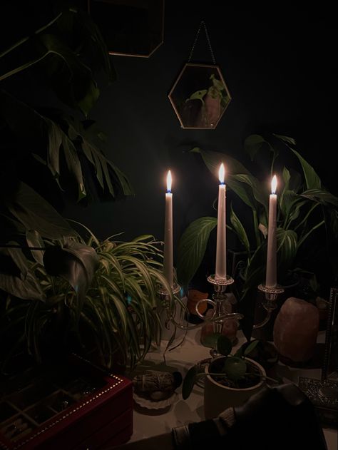 Dark Green Plants Aesthetic Room, Mossy Green Aesthetic Bedroom, Dark Nature Decor, Dark Green And Black Room Aesthetic, Dark Green And Black Bedroom Aesthetic, Dark Green Wall With Plants, Dark Green And Gold Room Aesthetic, Green Acedamia Aesthetic Room, Plants In Dark Rooms