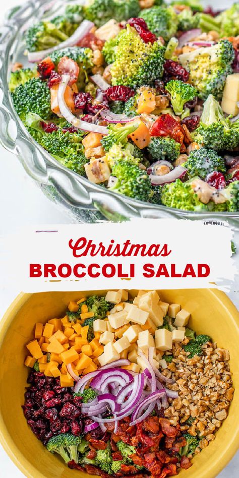 Holiday Broccoli Recipes, Holiday Broccoli Salad, Winter Broccoli Salad, Christmas Broccoli Salad, Christmas Cold Side Dishes, Cold Broccoli Salad Recipes, Winter Potluck Ideas, Holiday Salads Christmas, Poppyseed Broccoli Salad