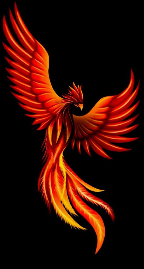 Phoenix Painting, Phoenix Drawing, Phoenix Bird Art, Phoenix Tattoo Feminine, Small Phoenix Tattoos, Phoenix Wallpaper, Phoenix Artwork, Phoenix Images, Piece Tattoo