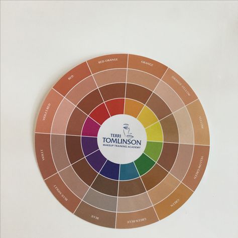 Flesh Tone Color Wheel Color Theory Skin Tone, Skin Color Chart, Makeup Color Wheel, Makeup Training, Shingle Colors, Skin Undertones, Skin Color Palette, Colors For Skin Tone, Foundation Colors