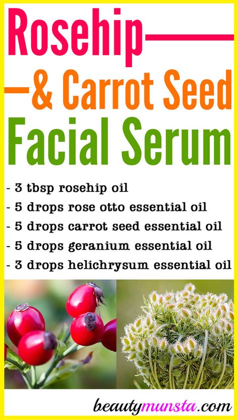 Rosehip and Carrot Seed Facial Serum - beautymunsta Rosehip Oil Benefits, Carrot Seed Essential Oil, Anti Aging Skin Care Diy, Essential Oil Beauty, Diy Anti Aging, Popular Diy, Carrot Seed Oil, Carrot Seeds, Anti Aging Beauty