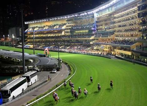 Happy Valley Races.  Horseracing below the high-rises.  Happy Valley is where Hong Kongers go to play. Horse Racing Track, Horse Betting, Racing Horse, Race Course, Horse Races, Jockey Club, Thoroughbred Horse Racing, Drainage System, Train Stations