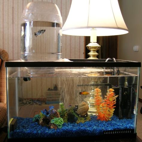 DIY Aquarium Expansion Tower Fish Tower, Diy Aquarium Stand, Aquarium Diy, Amazing Aquariums, Diy Fish Tank, Cool Fish Tanks, Diy Lego, Aquarium Terrarium, Aquarium Stand