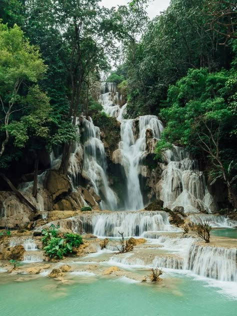 Laos Country, Kuang Si Falls, Laos Travel, Luang Prabang, Dream Travel Destinations, Backpacking Travel, Beautiful Places To Travel, Elba, Travel Inspo