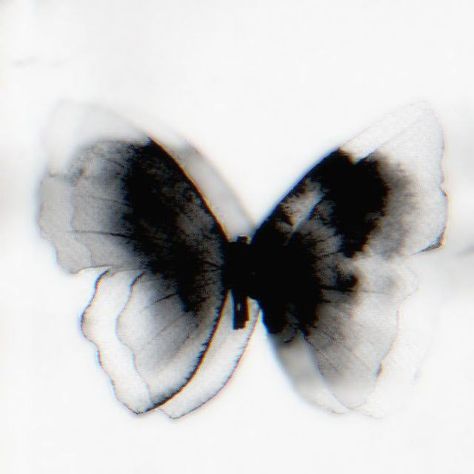 Set Profile Aesthetic, Black And White Aesthetic Highlight, Instagram Pp Aesthetic, Butterfly Icon Aesthetic, Pp Aesthetic, Dark Pp, Ig Icons Highlights Aesthetic, Butterfly Icon, Detective Aesthetic