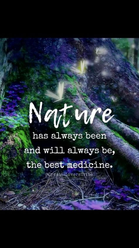 The Timeless Healer 🌿🌼

Nature has always been, and will forever remain, the best medicine for the mind, body, and soul. From the fresh air to the calming green landscapes, the natural world offers healing in its purest form. Let the simplicity of nature remind you of the beauty in stillness, and find comfort in its endless embrace. 🌲🌞🍃

#NatureHeals #TimelessMedicine #NatureTherapy #HealingVibes #ReconnectWithNature #NaturalCalm 🌿🌸 Green Landscapes, Natural Calm, Healing Vibes, Pure Form, Green Landscape, Mind Body And Soul, Body And Soul, The Natural World, Natural Healing