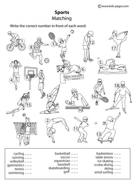 Kids Pages - Sports Matching B Physical Education Worksheets, Pe Worksheets, Physical Education Lesson Plans, Teaching Worksheets, Health Lesson Plans, Physics High School, Elementary Physical Education, Elementary Pe, Physical Education Lessons