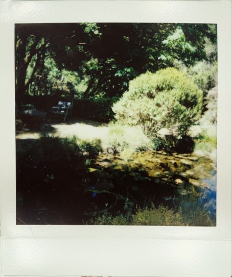 summer garden polaroid Polaroid Pictures Nature, Polaroid Summer, Polaroid Aesthetic, Garden Images, Polaroid Pictures, Ideas Photography, Landscape Ideas, Summer Garden, Beautiful Landscapes