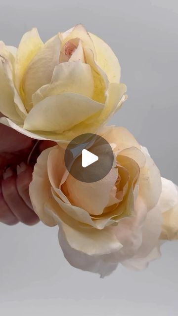 Paper Flower Video, Sugar Flowers Tutorial, Fondant Flower Tutorial, Water Paper, Brides Basket, Wafer Paper Flowers, How To Make Rose, Baby Shower Table Decorations, Making Fabric Flowers