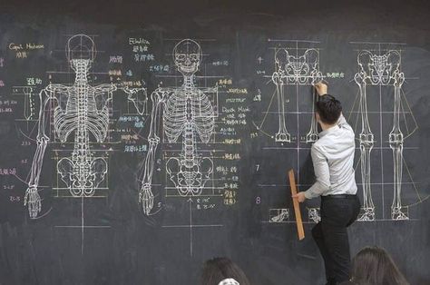 Anatomy teacher with his drawing lecture on a chalkboard. Anatomy Teacher, Teacher Classroom Sign, Blackboard Drawing, Classroom Memes, World History Classroom, Special Needs Teacher, Anatomy Lessons, Classroom Signs, History Teachers