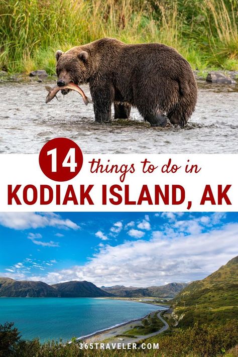 Featuring an open ocean, staggering cliffs, lush forests, winding roads, pristine beaches, tons of wildlife, and endless outdoor adventures, Kodiak is a must-see on any Alaska trip. The island also has a long and fascinating history you can learn about. Ready to learn more? Here are 14 things to do in Kodiak Island AK and the surrounding area that you're not going to want to miss! Things To Do In Kodiak Alaska, Kodiak Alaska Photography, Kodiak Island Alaska, Alaska Packing List, Alaska Summer, Kodiak Alaska, Kodiak Island, Backcountry Snowboarding, Alaska Photography