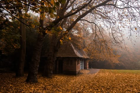 https://flic.kr/p/FqbgM9 | Jesmond Dene Pavilion During Autumn Jesmond Dene, October Country, All Falls Down, Season Of The Witch, Witch Aesthetic, Fall Pictures, Best Seasons, Autumn Cozy, Autumn Aesthetic