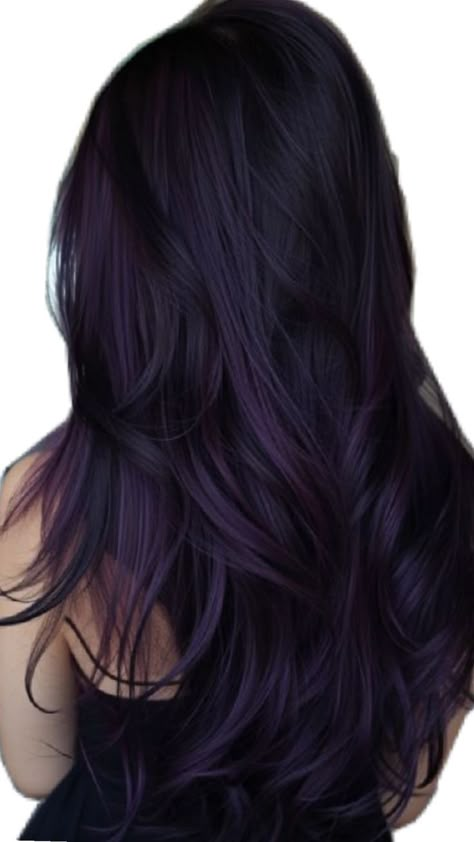 Midnight Violet Hair, Peekaboo Purple Hair, Purple Hair And Black, Dye For Black Hair, Hair Dye For Black Hair, Midnight Purple Hair, Violet Black Hair, Purple Peekaboo Hair, Plum Purple Hair