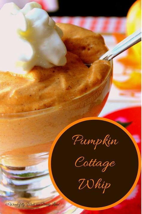 Pumpkin Cottage Whip is a wonderful way to get trim and healthy. It is both low fat and low carb and tastes just like pumpkin pie! Cottage Whip, Pumpkin Cottage, Thm Fp, Weight Watcher Desserts, Trim Healthy Momma, Healthy Afternoon Snacks, Low Fat Low Carb, Cucumber Diet, Overnight Oat