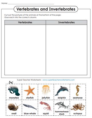 Animal Worksheets - Vertebrates and Invertebrates Invertebrates Vs Vertebrates, Invertebrates And Vertebrates Worksheets, Vertebrates And Invertebrates Project, Invertebrates Activities For Kids, Vertebrates And Invertebrates Activities, Invertebrates Classification, Vertebrates Worksheets, Vertebrates And Invertebrates Worksheets, Vertebrate And Invertebrate Animals