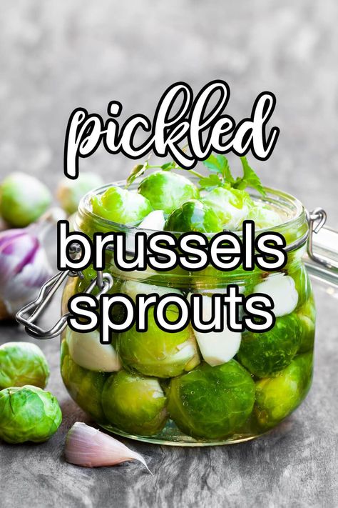 Pickled Brussels Sprouts - Pickled Brussels sprouts are a traditional Eastern European recipe. They can be served as an appetizer, side dish, or part of a main course. | CDKitchen.com Pickled Brussel Sprouts Refrigerator, Pickled Brussel Sprouts Recipes, Pickled Brussels Sprouts Recipe, Pickled Brussel Sprouts, Canning Pickles Recipe, Garlic Brussel Sprouts, Pickles Recipe, Preserving Foods, Eastern European Recipes