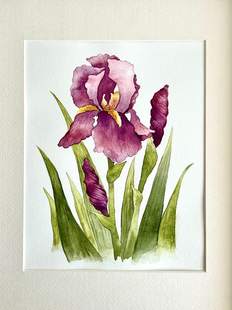 Paint a watercolor Iris! Whimsical Art Paintings, Iris Art, Prismacolor Art, Iris Painting, Watercolor Flowers Tutorial, Watercolor Flower Art, Bearded Iris, Watercolor Art Lessons, Watercolor Flowers Paintings