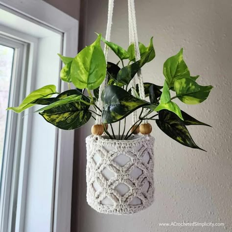 Free Crochet Basket Patterns, Crochet Basket Bag, Crochet Plant Hangers, Crochet Basket Patterns, Plant Crochet, Quick Crochet Gifts, Crochet Plant Hanger, One Skein Crochet, Crochet Wall Hanging