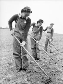 The Butterfly Balcony: Women In Wartime - How Iris Became A Land Girl Women's Land Army, Ww2 Women, 1940s Women, Girls Work, Army Training, Land Girls, British Home, Women Working, Vintage Blog