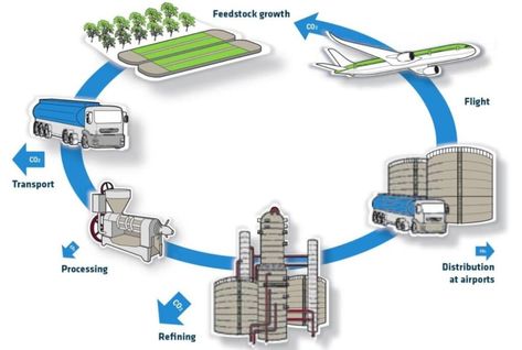 4 Sustainable Aviation Fuel Companies Leading the Way to Net-Zero Flying | Earth.Org - Past | Present | Future Aviation Fuel, Air Carrier, Net Zero, Alaska Airlines, Domestic Flights, Aviation Industry, Past Present Future, Lead The Way, American Airlines