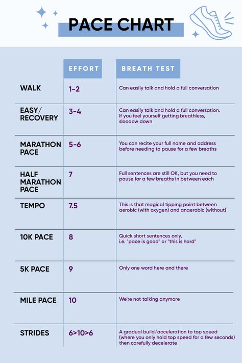 2 Week 5k Training Plan, 12 Week Half Marathon Training Plan Intermediate, Sparta Workout, Half Marathon Training 12 Week, Running Plans, Fartlek Workout, Marathon Training Plan Beginner, Beginner Half Marathon Training, Marathon Prep