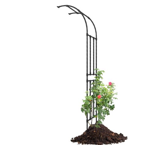 PRICES MAY VARY. 【Sturdy and durable】Made of high-quality galvanized steel pipe coated with plasticwith strong strength, this arch flower rack vine frame provides a stable and long-lasting support for your climbing plants 【Size specifications】 Length: 24in, height: 94.5in, width: 15.8in. The arch flower trellis is the perfect choice to enhance the beauty of your home courtyard, creating an amazing landscape for your garden 【Easy assembly】: Designed with modular assembly and pre-drilled posts, th Plant Trellis Outdoor, Trellis Front Of House, Woods Garden, Trellis Arbor, Climbing Plants Outdoor, Wrought Iron Trellis, Arbor Trellis, Home Courtyard, Grape Vine Trellis