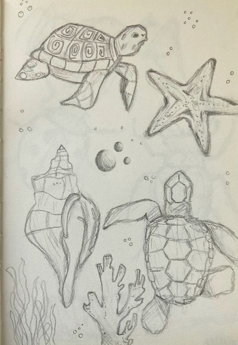 Ocean Animal Sketches Easy, Cute Sea Life Drawings, Ocean Drawings Aesthetic, Cute Drawings Turtle, Sea Shells Sketch, Drawings Sea Creatures Art, Ocean Animal Doodles, Cute Ocean Animals Drawings, Drawing Ideas Sea Animals