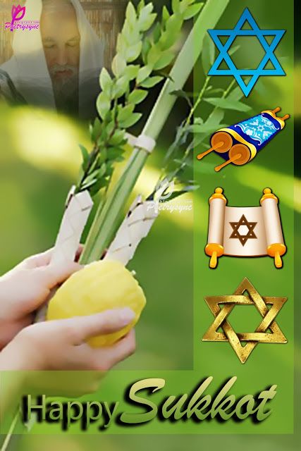 Poetry: Sukkot Festival Greetings Cards with Wishing Quotes Happy Sukkot Images, Lulav And Etrog, Happy Sukkot, Happy Rosh Hashanah, Yom Teruah, Feasts Of The Lord, Shabbat Shalom Images, Jewish Festivals, Feast Of Tabernacles